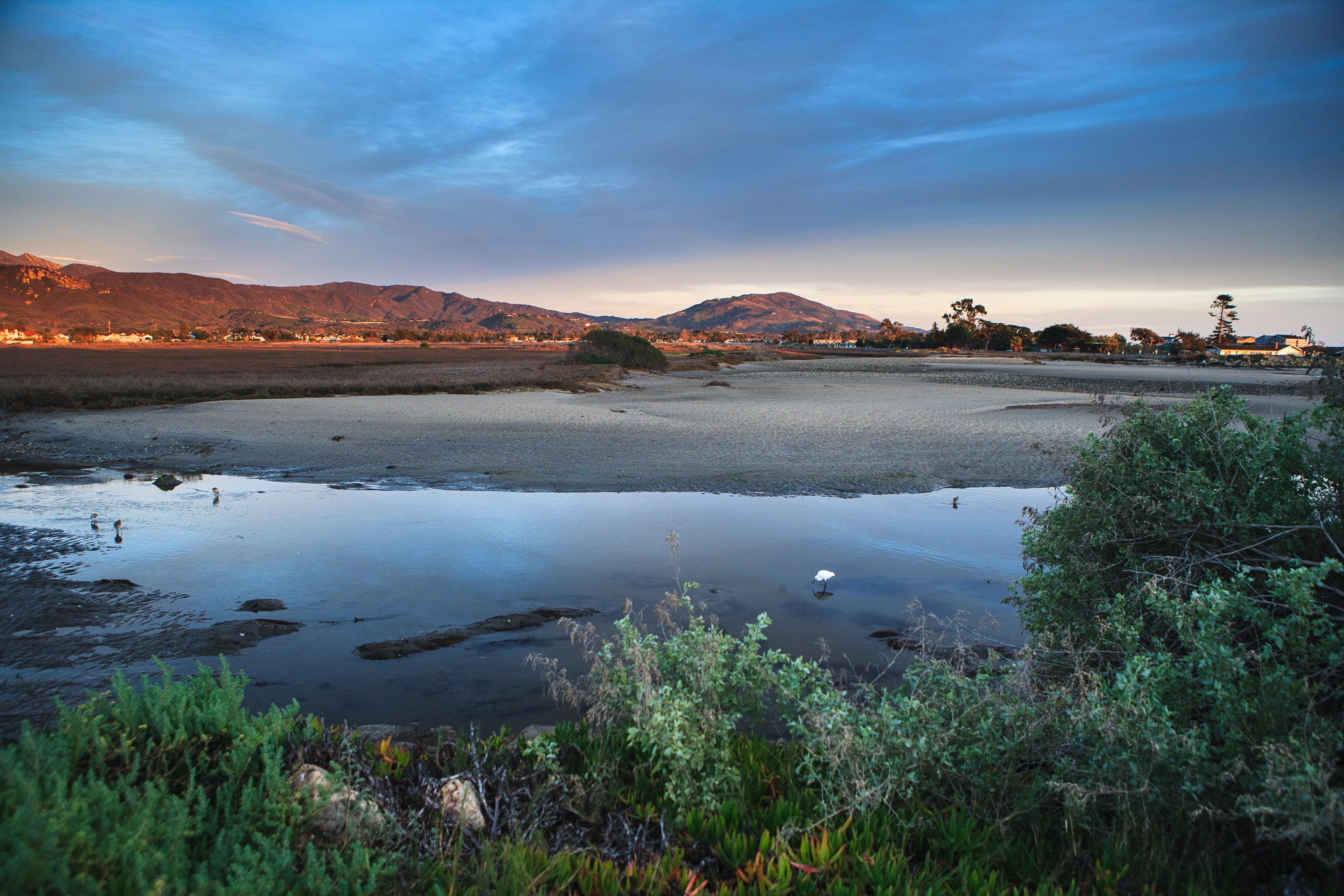 Holiday Inn Express & Suites Carpinteria By Ihg Eksteriør billede